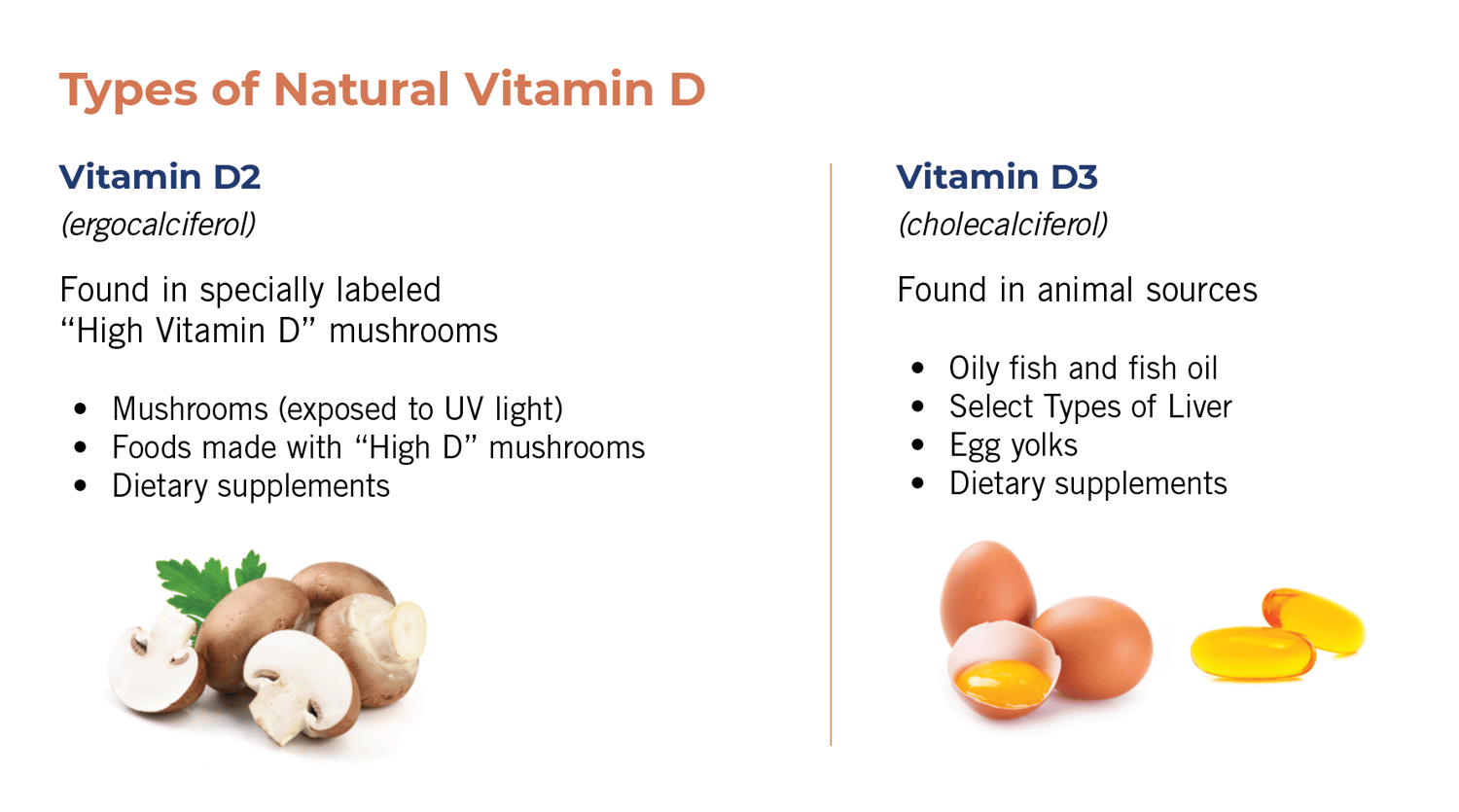 How Mushrooms High in Vitamin D